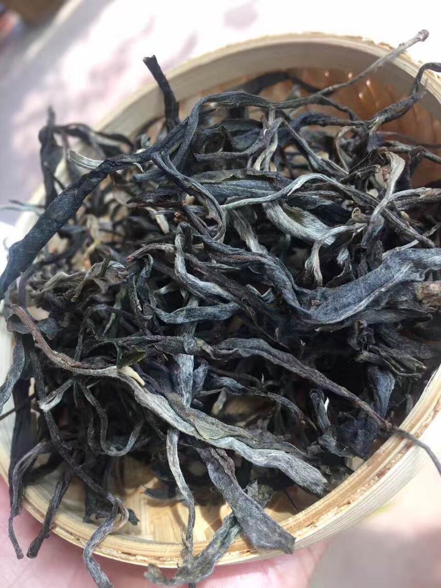 易武普洱茶的后起之秀众多，它是还没涨价的一个！