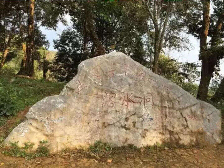 汇总20个名山头普洱茶的基本特性和口感特点，看看你爱喝哪个