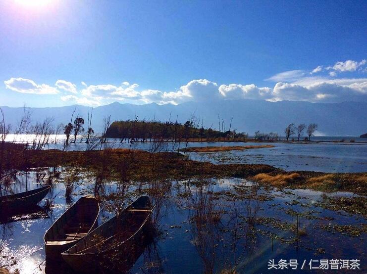 仁易说茶：普洱茶道与中国远古历史上篇