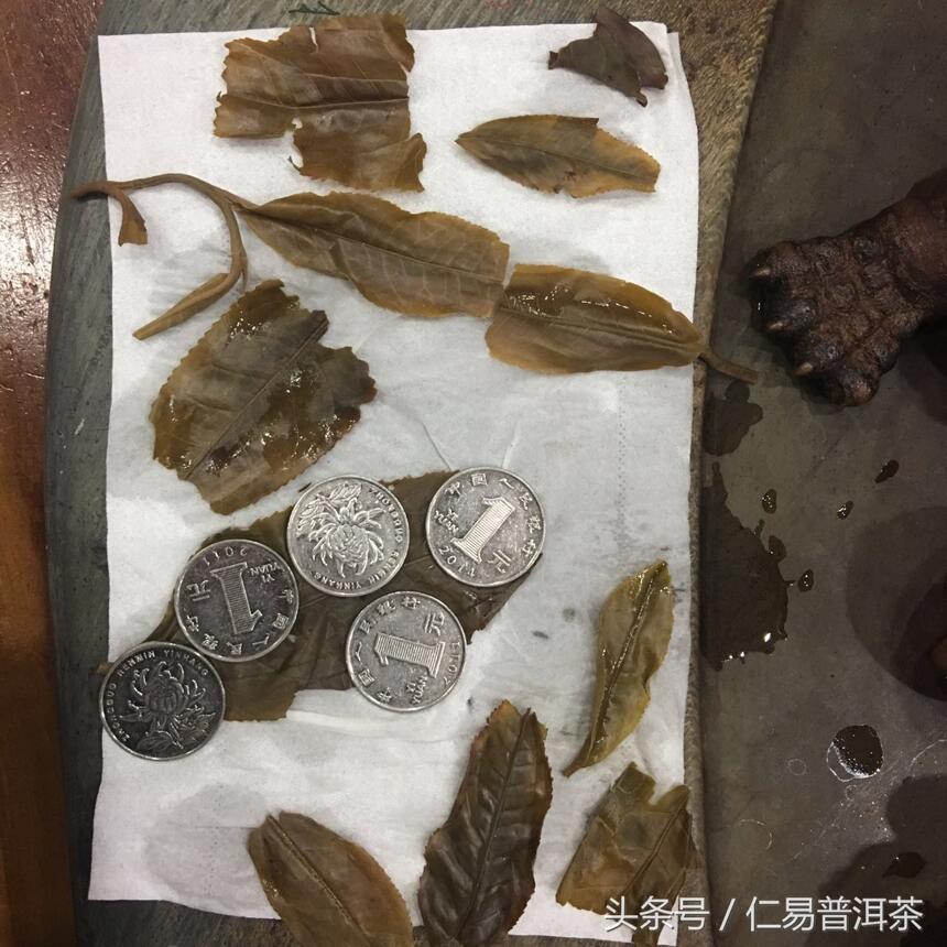 仁易说茶：普洱茶中的“止”学