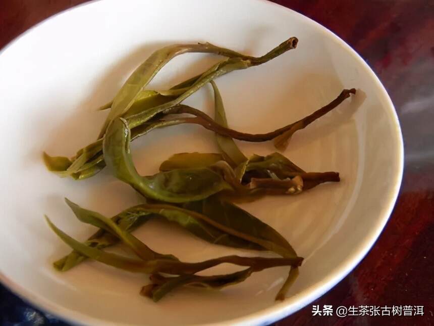 普洱茶叶底（茶渣）的玄机，你了解吗？千万不可喝完，就倒掉