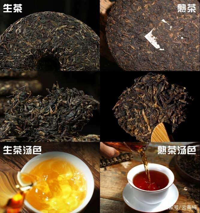 完全不懂普洱茶的人要怎么买普洱茶呢？记住这几点