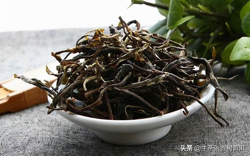 为何高海拔的普洱茶，香气更好？口感更醇厚？