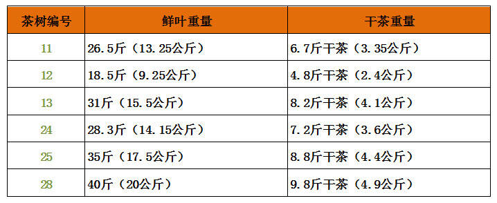 《老徐谈茶》特别节目：40棵单株已完成！老徐接下来要去哪儿？