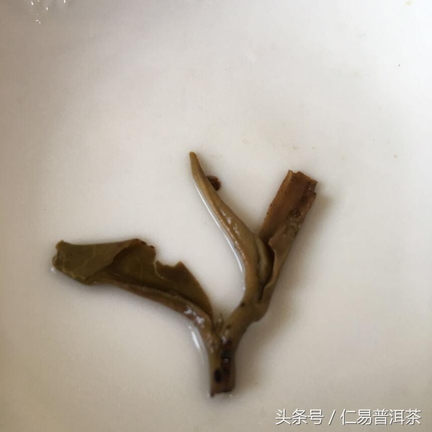 仁易说茶：普洱茶的真正应该具备的特征