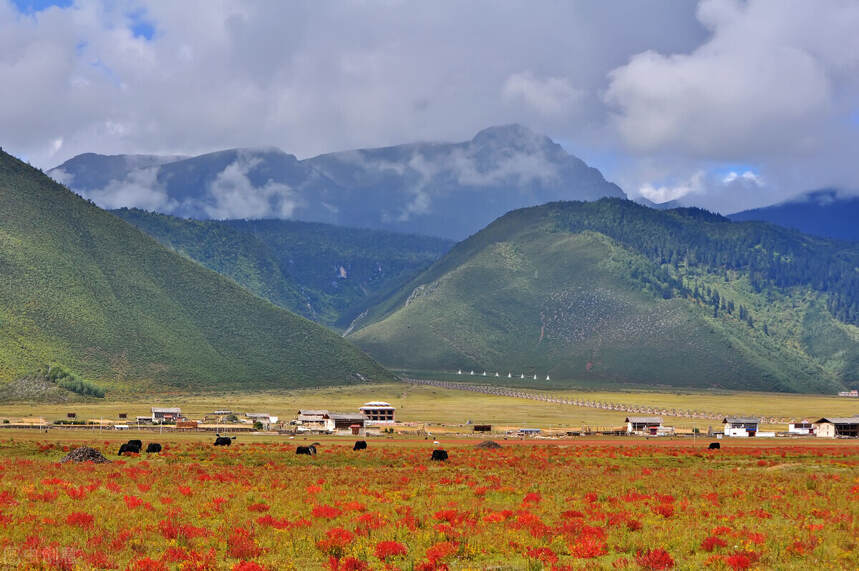 盘点香格里拉的景点，你知道哪些？