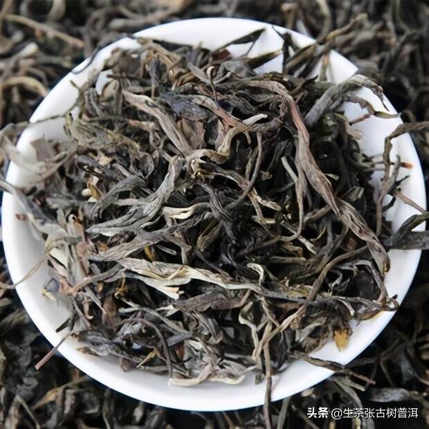 识别普洱古树纯料的标志是什么？生茶张提醒，这3点不可忽视