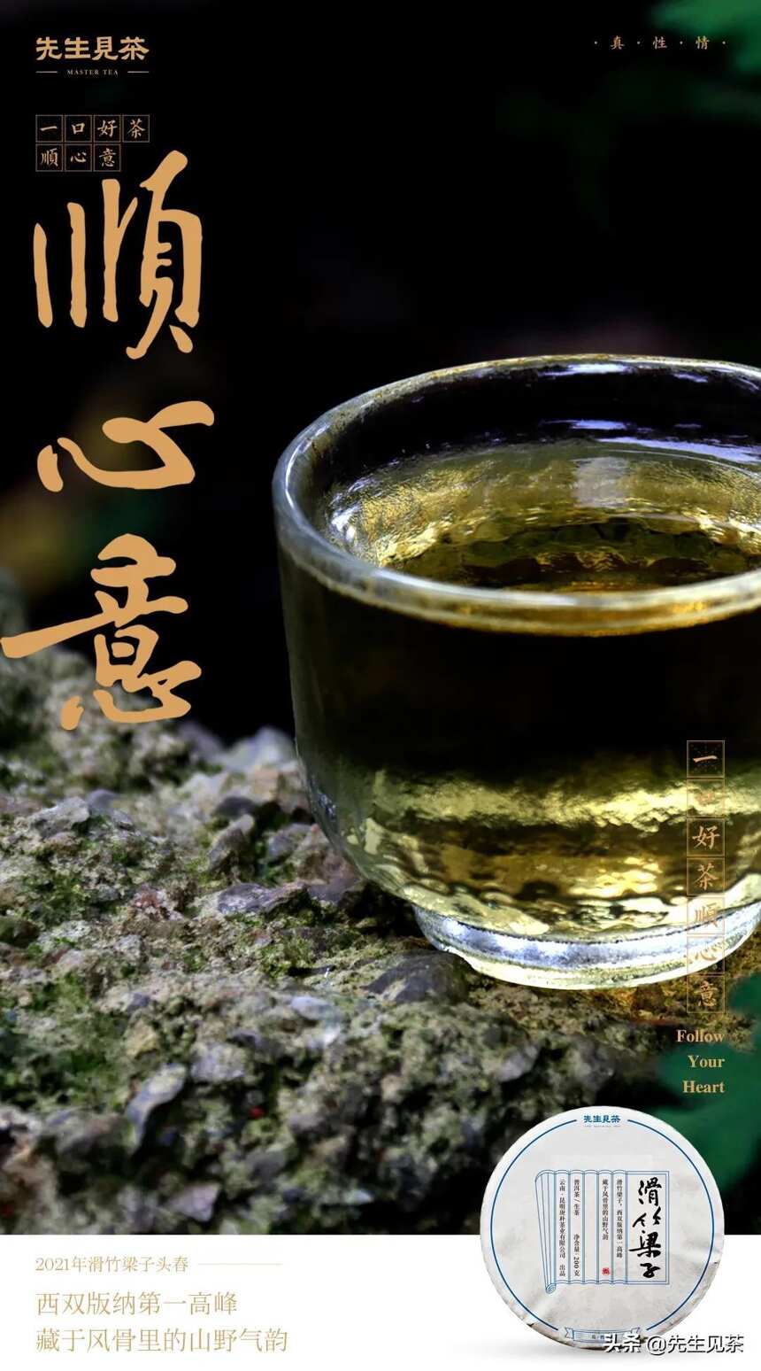 什么是头春茶？头春茶有什么好？