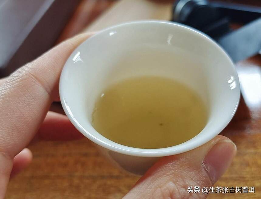 普洱茶大叶种和小叶种有何区别？