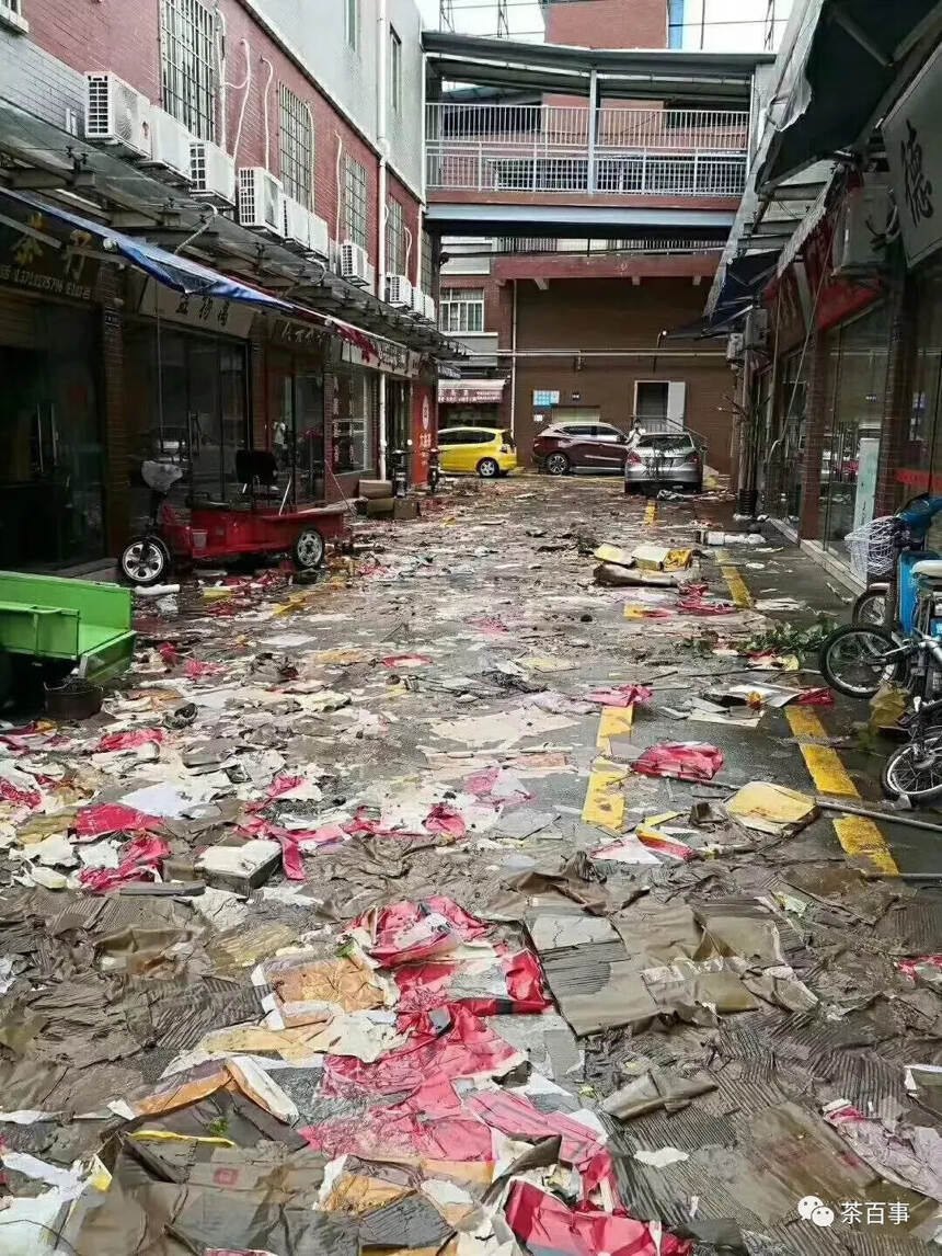 广东芳村茶叶市场屡次受灾损失严重不是偶然