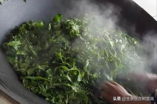 普洱生茶制作工艺（从采摘到包装）的全过程，超详细