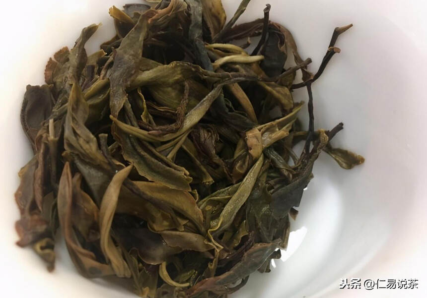 仁易说茶28小时入门教程会给茶友带来什么好处？