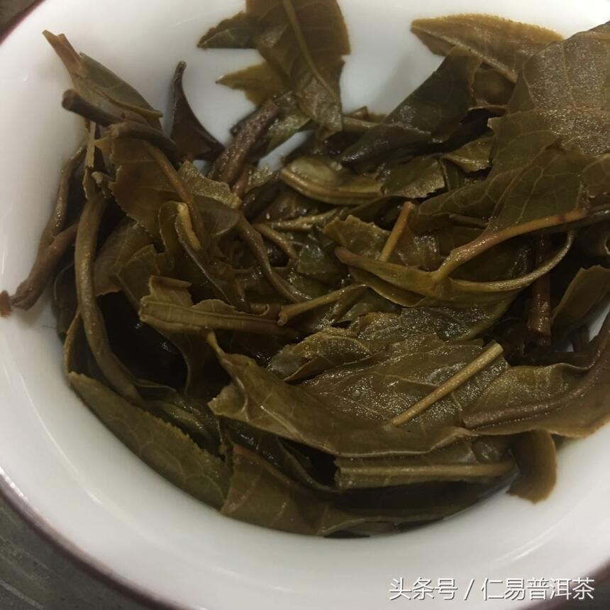 仁易说茶：普洱茶中的“止”学