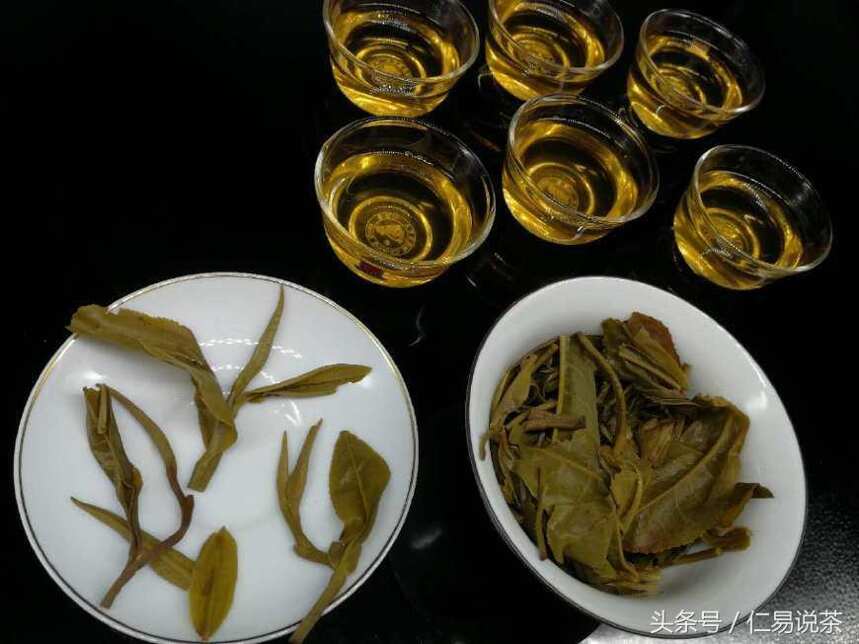 仁易说茶：为什么认为古树普洱茶是炒作？解密价高的真实原因