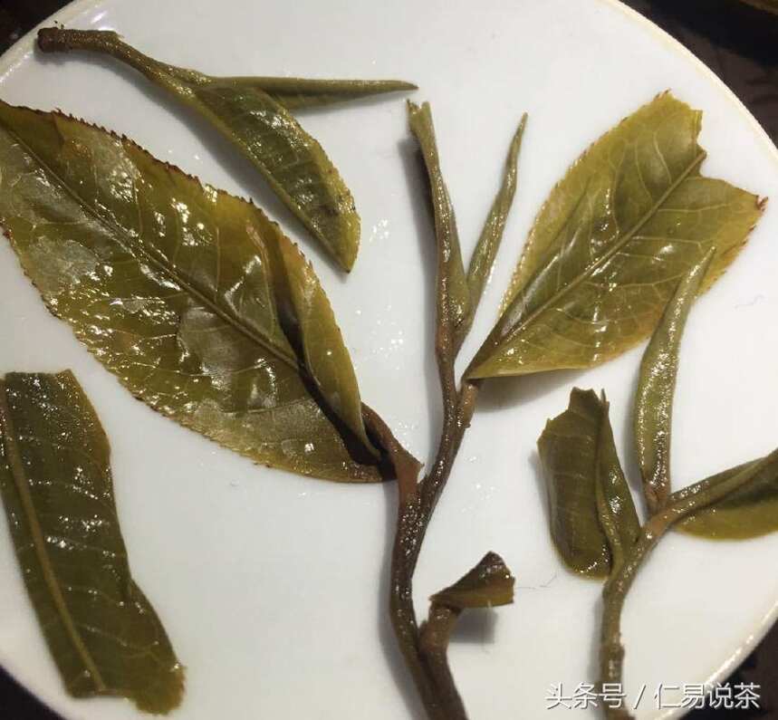 仁易说茶：新编中国普洱茶简史，随手笔记，茶诗一首