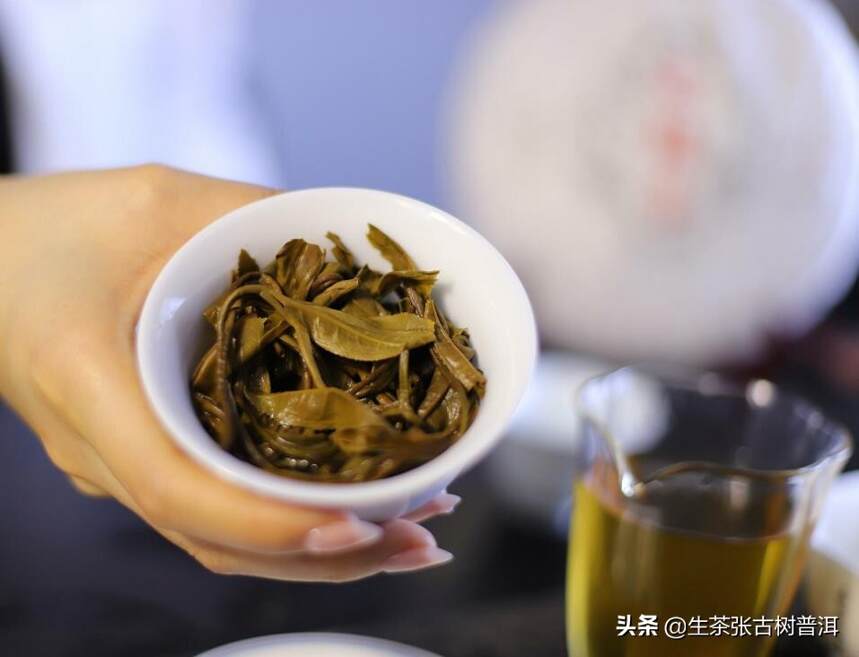 普洱茶选购知识：什么样的普洱茶比较好？