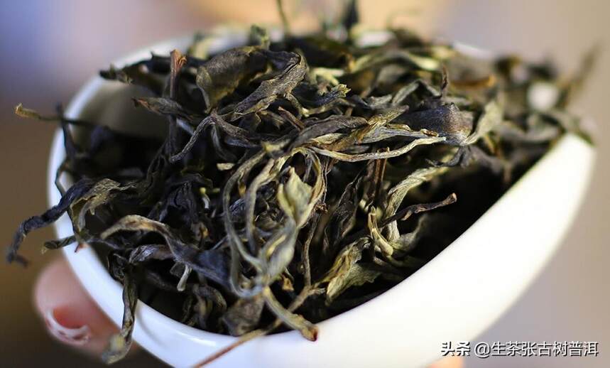 详述：关于普洱茶的9大热点问题，一文搞懂普洱茶