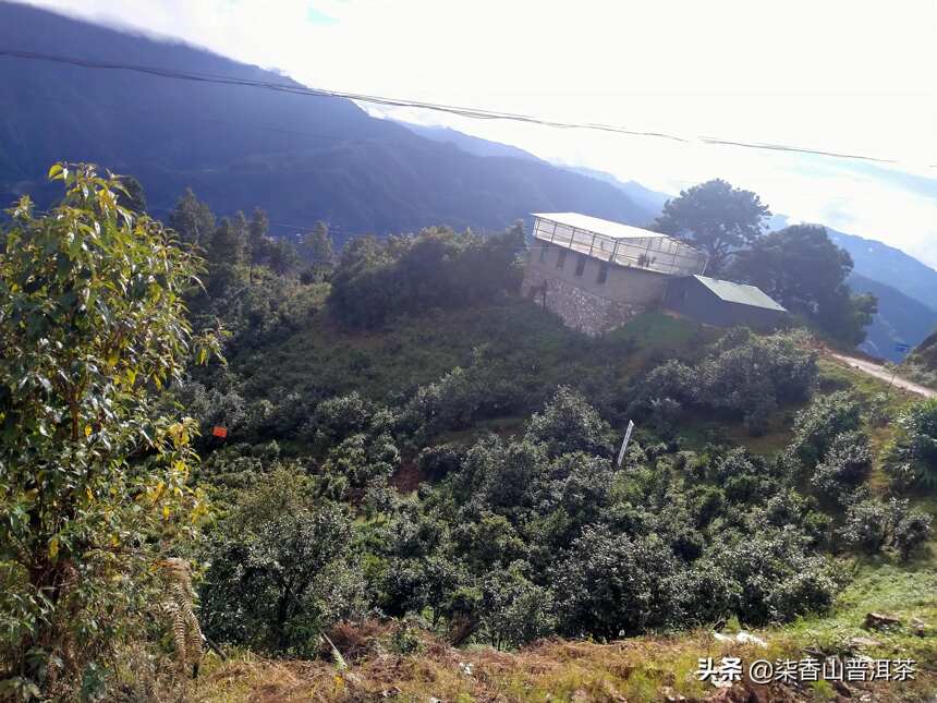 复杂多变的气候类型，造就独一无二的双江茶，拿某一山头看全局