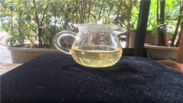 老徐鉴茶68期：200年树龄普洱古树秋茶品鉴报告（宁波茶友寄）