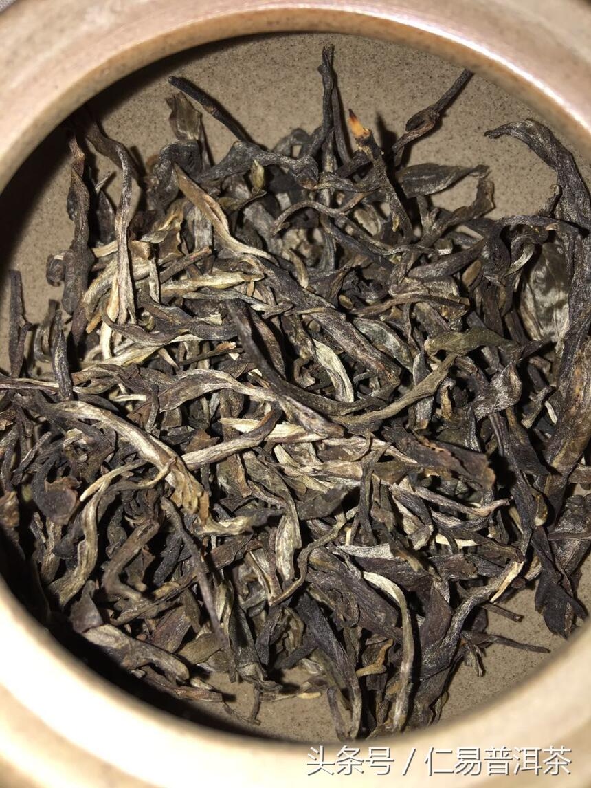 仁易说茶：普洱茶小小一片叶子能翻天？