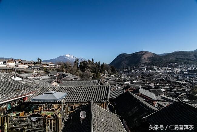 仁易说茶：普洱茶的美好与养生并存的秘密