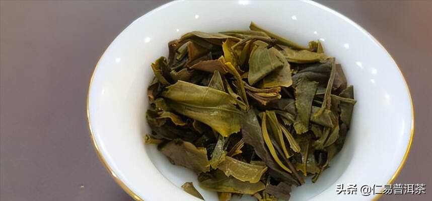 怎样从事普洱茶行业算是专业人才？只喝老茶的茶人是完整的么？