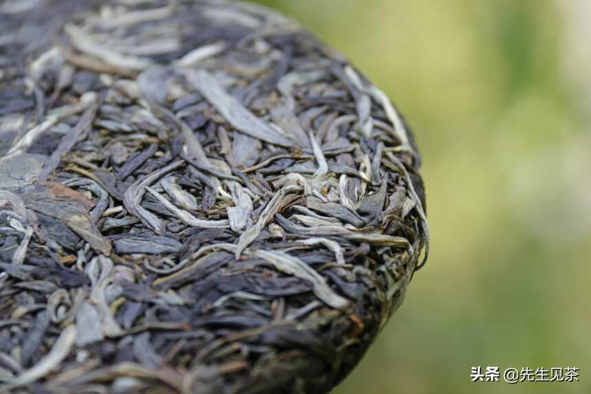 为什么老挝缅甸古树茶不叫普洱茶？