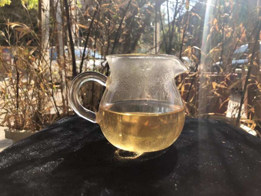 老徐鉴茶216：2009年南糯山半坡老寨500年古树茶品鉴报告（湖南）