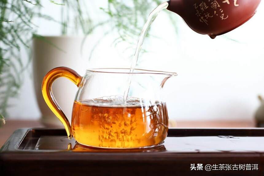 喝普洱茶出汗，是不是就能判断此款普洱茶品质好、茶气足？