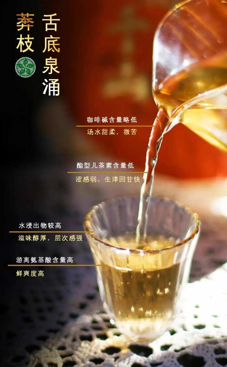 六大茶山:俯仰之间都是历史刻痕