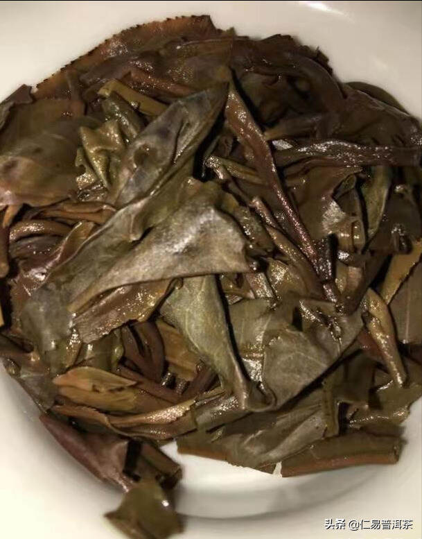 入门茶或者普洱茶为什么要从新茶生茶开始喝？（二）