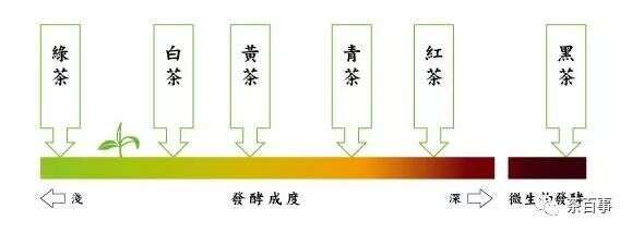 找到合适自己的茶才能喝对茶（值得收藏）