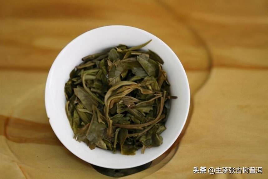 普洱茶树分类大全，普洱茶树的几种分类，一图全解