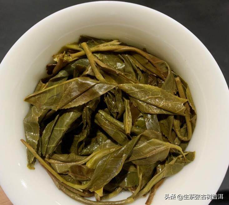 西双版纳9大出名的茶山，每个茶山有什么魅力？有什么特点？