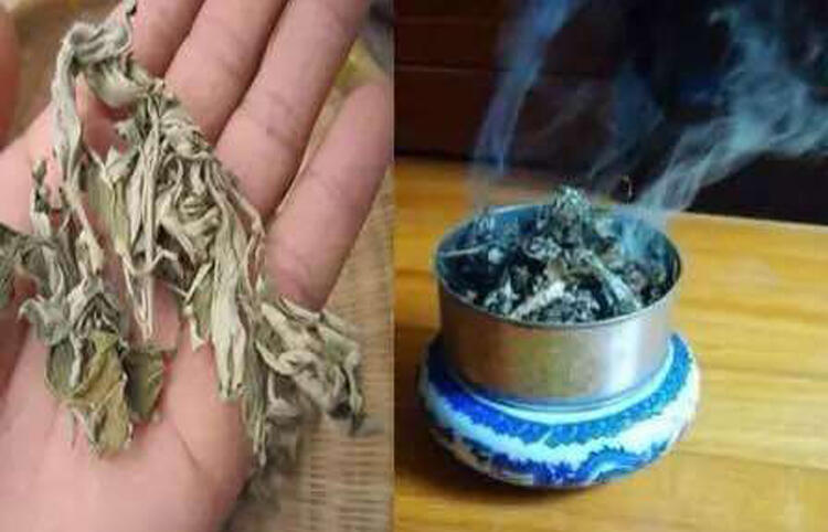 「收藏篇」喝剩的普洱茶别倒掉，分享10个生活中的妙用，用起来