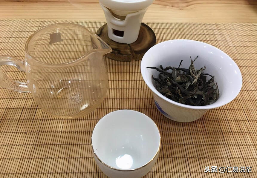 仁易说茶28小时入门教程会给茶友带来什么好处？