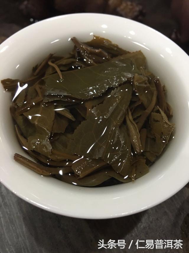 仁易说茶：普洱茶的美好与养生并存的秘密