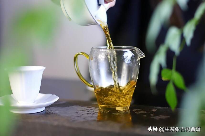 一文揭秘关于喝普洱茶有酸味的真相，带酸味的普洱茶是好是坏？