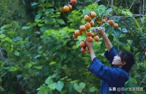 “李子柒”启示录