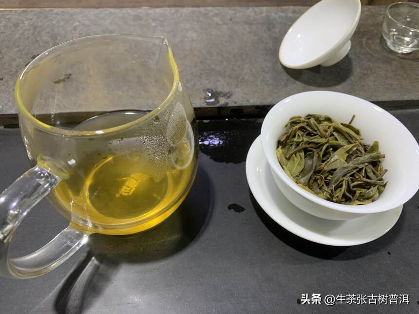 拒绝做普洱茶小白，简单易记的10大知识点，一定要记住