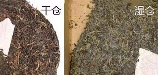 高锰酸钾，黑鞋油！老茶造假彻底刷新你的三观