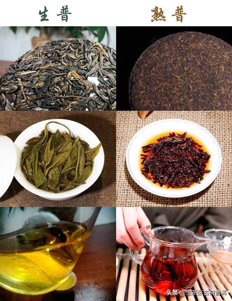 有关普洱茶传言很多，真相是什么？一次性讲清普洱茶的18个真相