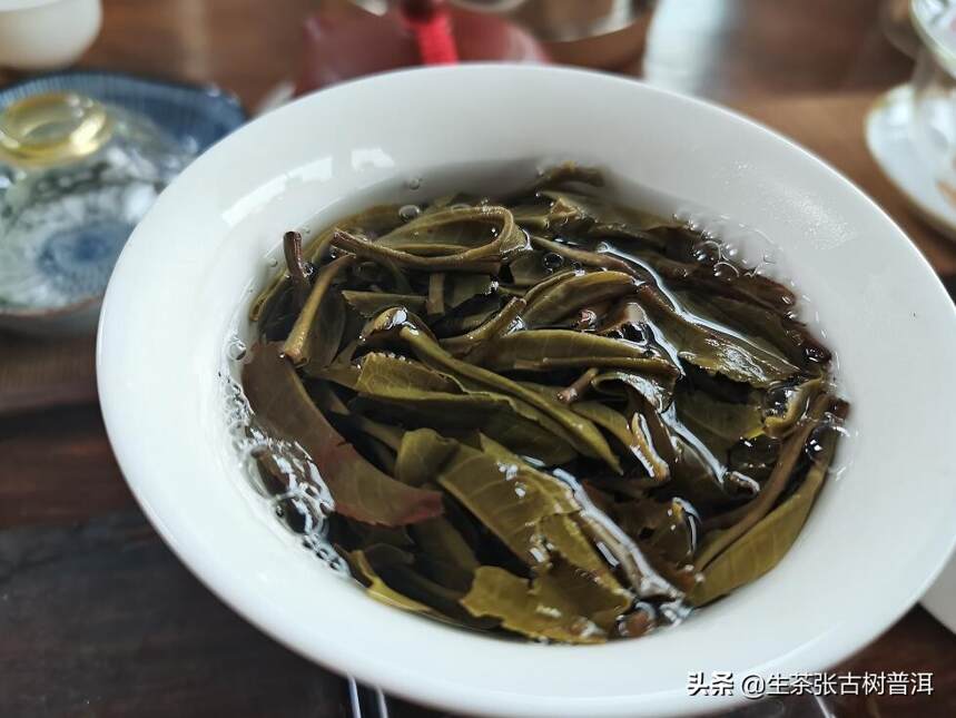 普洱茶选购知识：什么样的普洱茶比较好？