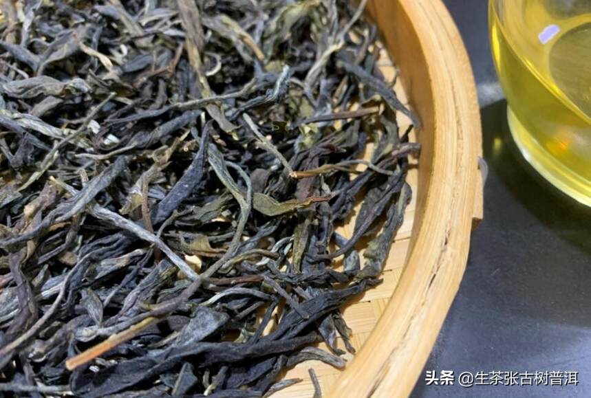 西双版纳9大出名的茶山，每个茶山有什么魅力？有什么特点？