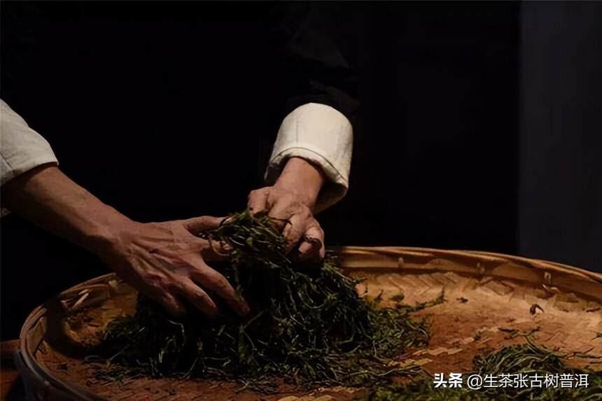 茶知识｜一文带你见证普洱茶饼的诞生