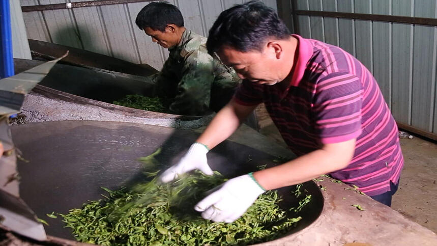 《老徐谈茶》第89期：都说卖的是古树茶，真有那么多古树茶？