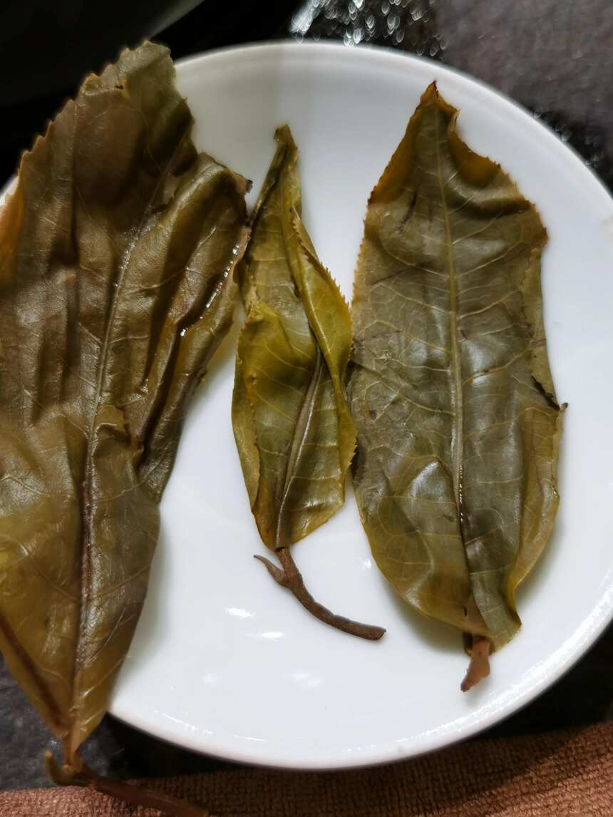 不是您想象的那番美好：“昔归”古茶春茶品鉴