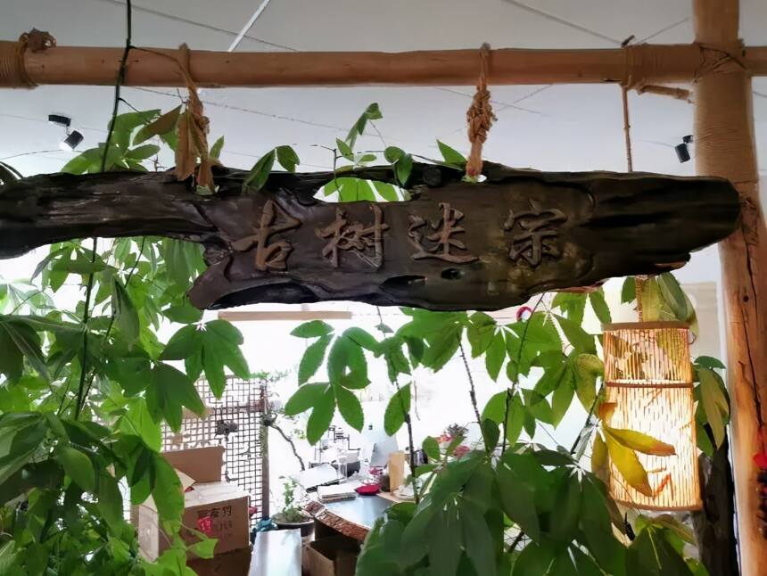 揭秘茶艺馆的收入来源