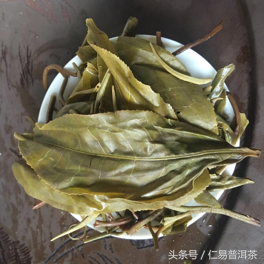 仁易说茶：普洱茶中的“止”学