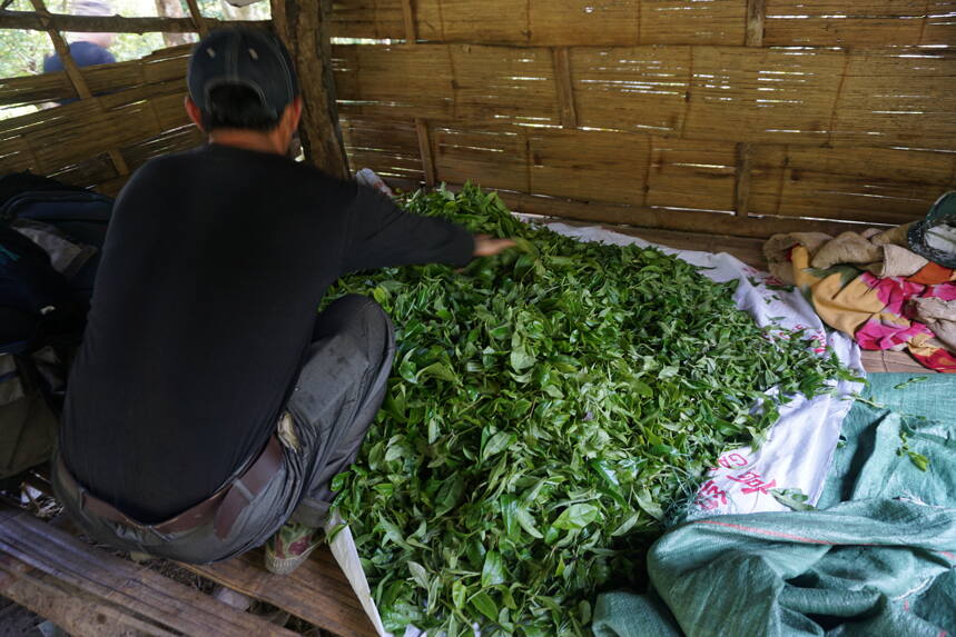 12年来，他用脚步丈量茶山，然后告诉众人：好茶应该是这样的……